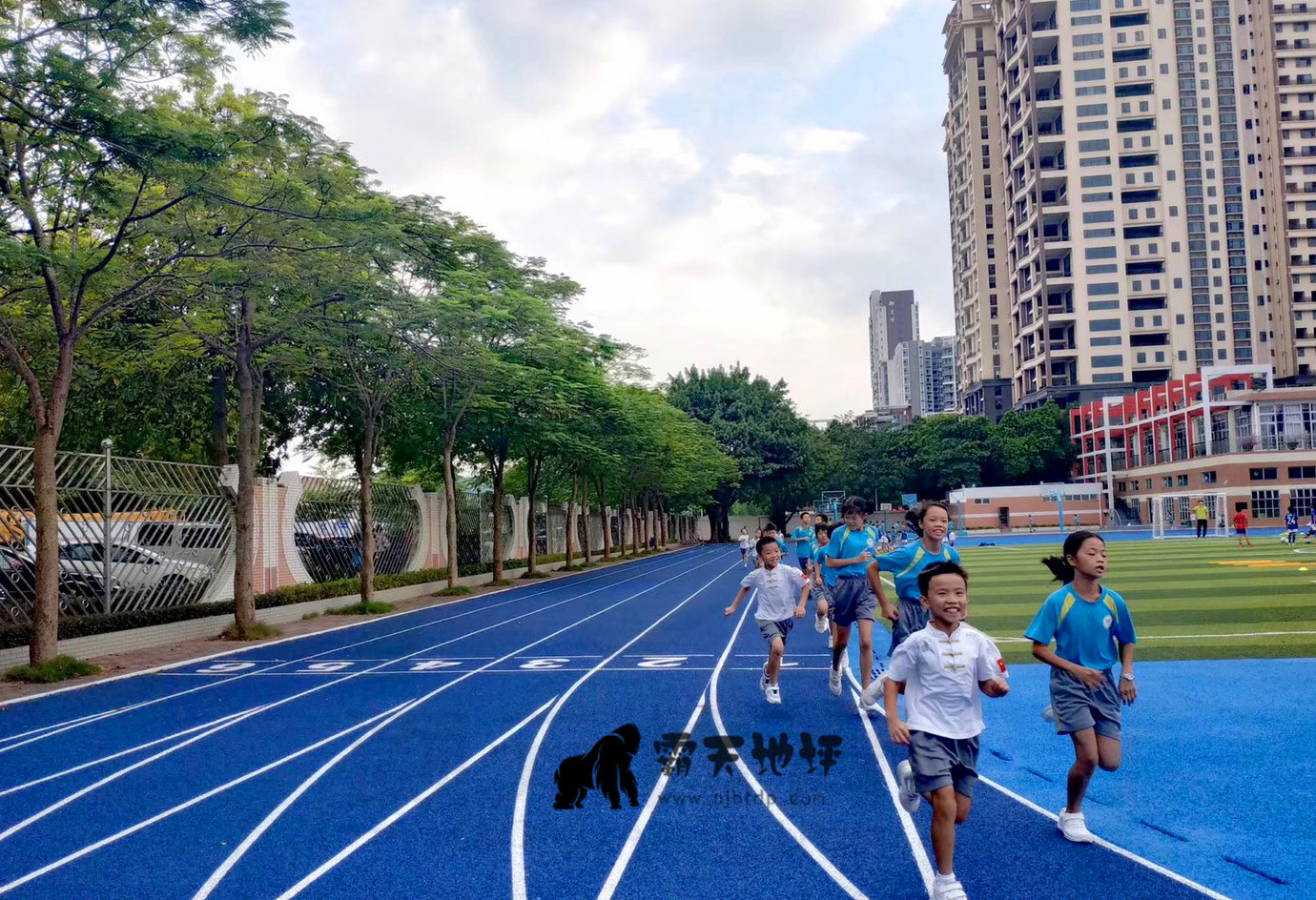 1711605638462520.jpg IMG_5936.JPG